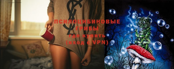 ПСИЛОЦИБИНОВЫЕ ГРИБЫ Арсеньев
