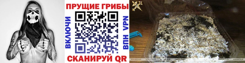 Псилоцибиновые грибы Magic Shrooms  что такое наркотик  Усолье 